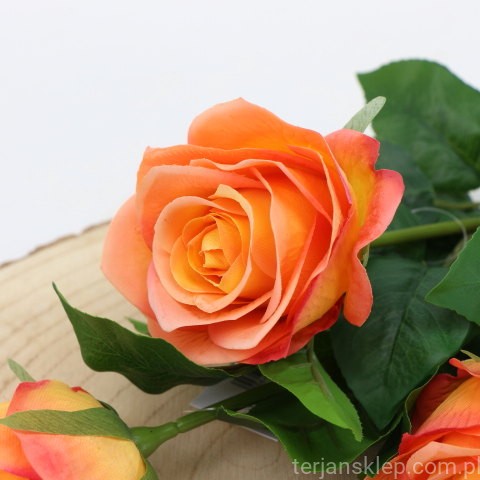 img (35212).JPG