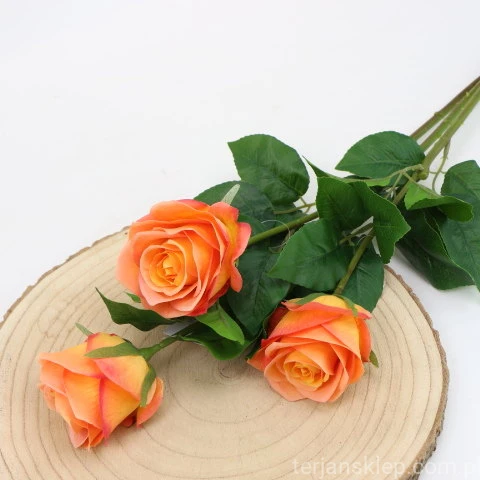 img (35213).JPG