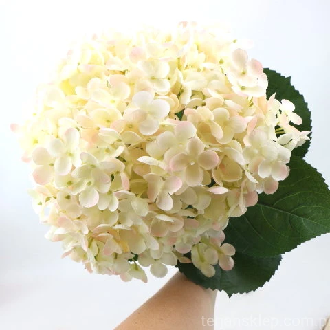 img (35251).JPG