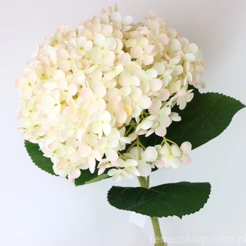 img (35255).JPG