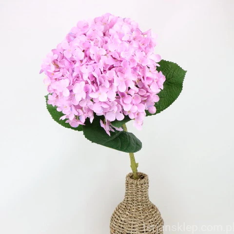img (35241).JPG