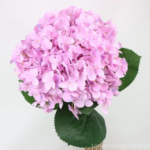 img (35244).JPG