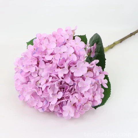 img (35246).JPG