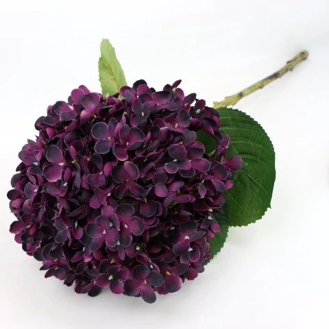 img (35261).JPG