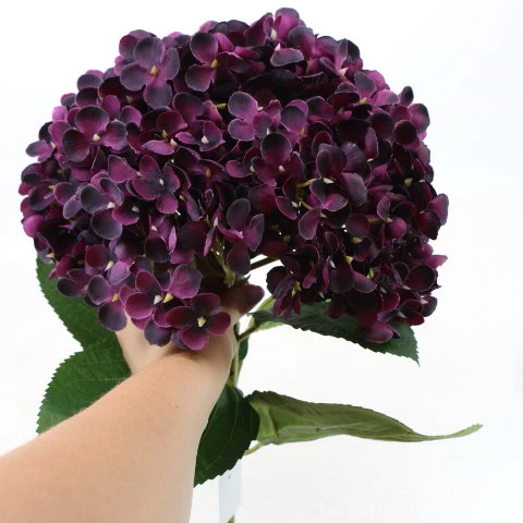 img (35264).JPG