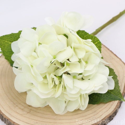 img (35287).JPG