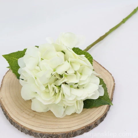 img (35288).JPG
