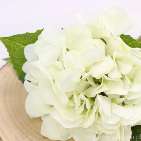 img (35290).JPG
