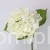 img (35293).JPG