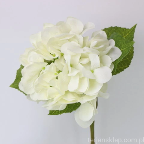 img (35293).JPG