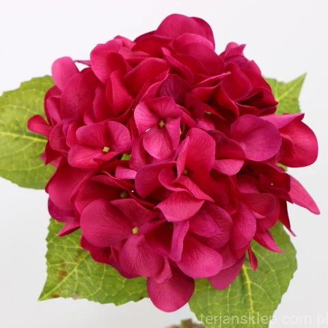 img (35270).JPG