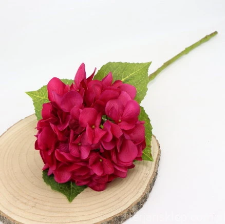 img (35274).JPG