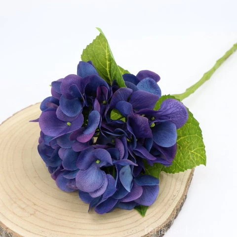 img (35283).JPG