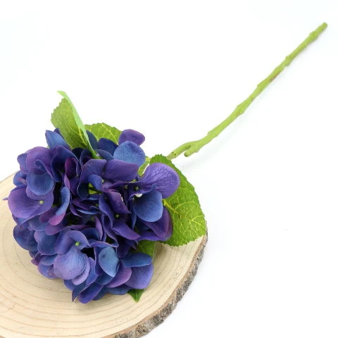img (35284).JPG