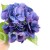 img (35285).JPG