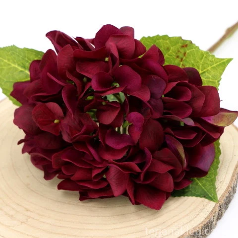 img (35276).JPG