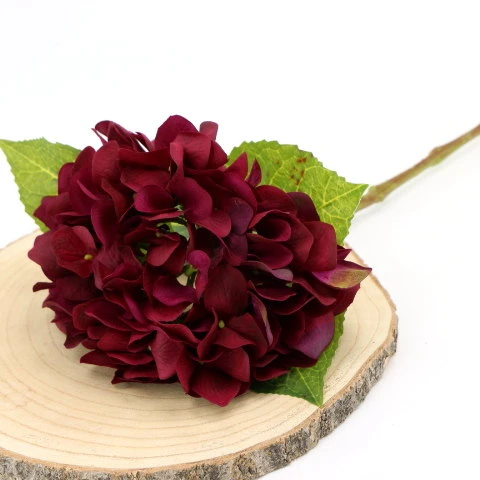 img (35277).JPG