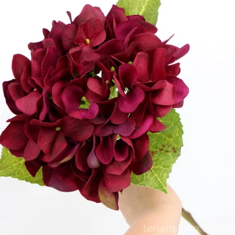 img (35278).JPG