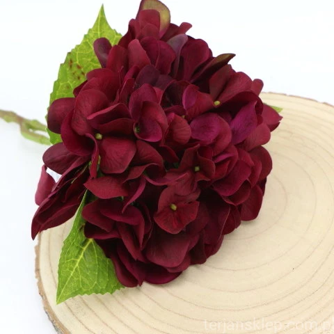 img (35280).JPG