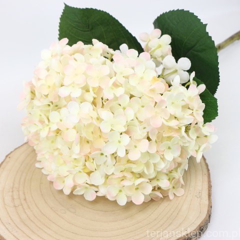 img (35249).JPG