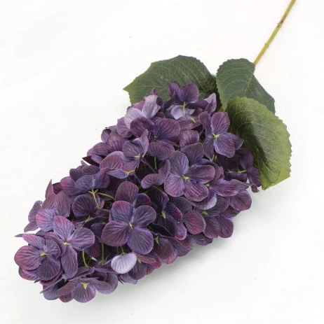 x (35334).JPG