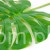 terjan_0002 (14).JPG