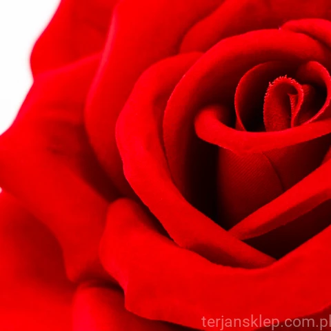 terjan_0002 (137).JPG
