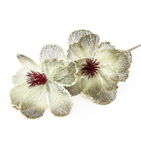 terjan  (99).JPG