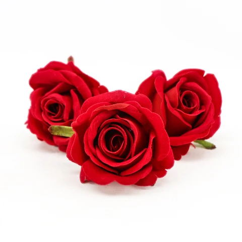 terjan (40).JPG