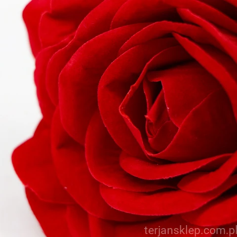 terjan (10).JPG