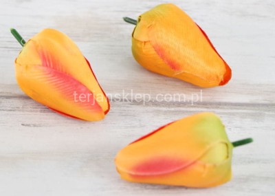 Tulipan wyrobowy J158 (12 szt) orange