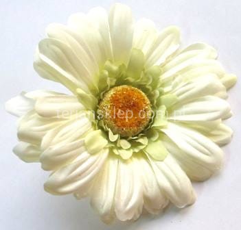 Gerbera wyrobowa SAT CB19  B (12szt) cream/green