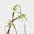 TERJAN (242).jpg