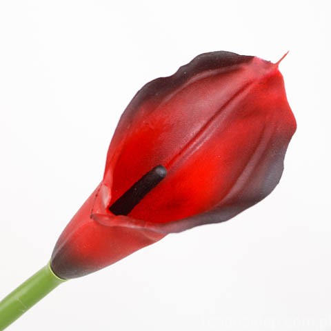 terjan (26).jpg