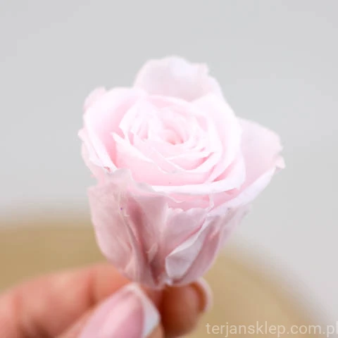 terjan (72).jpg