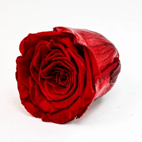 terjan (91).jpg