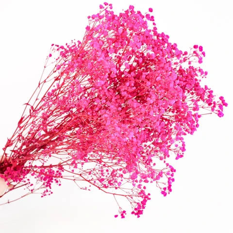 terjan (143).jpg