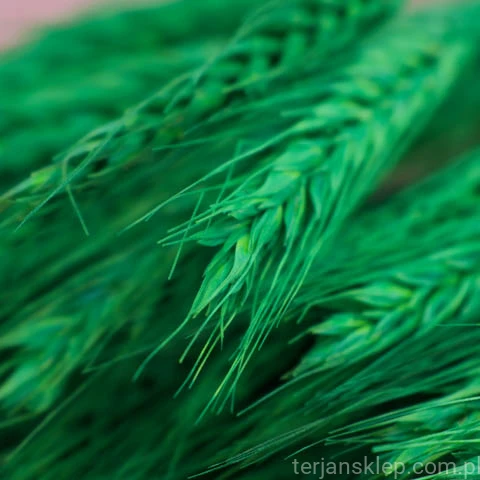 terjan (200).jpg