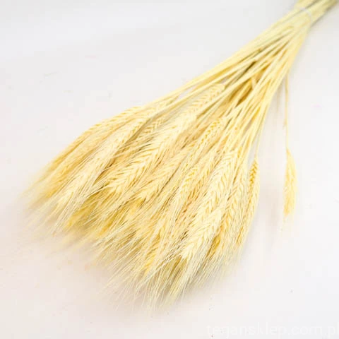 terjan (217).jpg