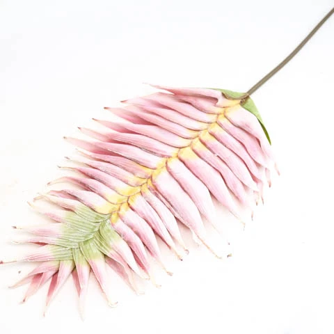 terjan (107).jpg