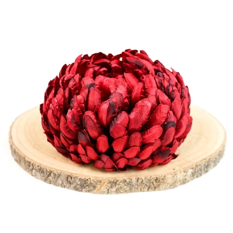 terjan (1).JPG