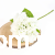 terjan (1).png