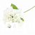 terjan (2).png