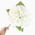 terjan (3).jpg