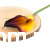 terjan (4).png