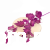 terjan (10).png