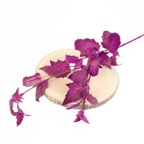 terjan (10).png