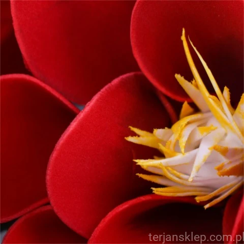 terjan (51).jpg