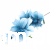 terjan (59).png