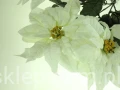 d845a524a44d2aebafad81b44c828e76f9449de1